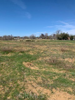 MLS #IG25047339 image #6