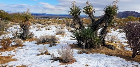 MLS #IG25055063 image #2