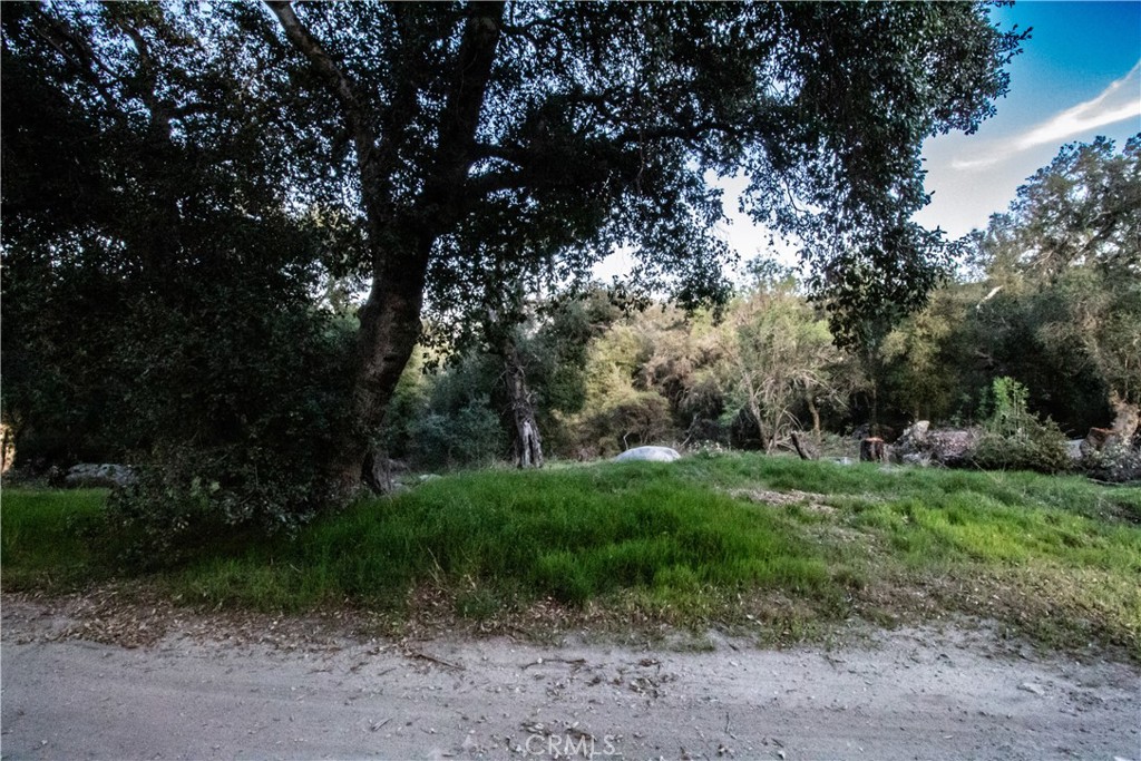 MLS #IG25063367 image #2