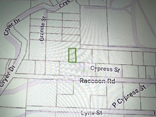 MLS #IG25064828 image #3