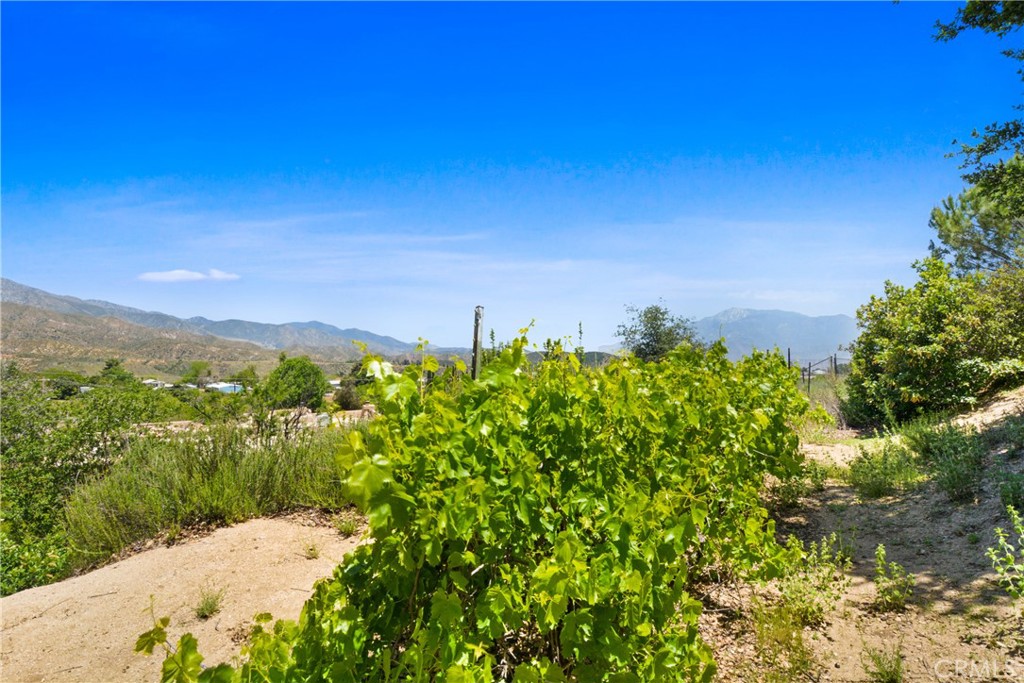 MLS #IG25108888 image #55