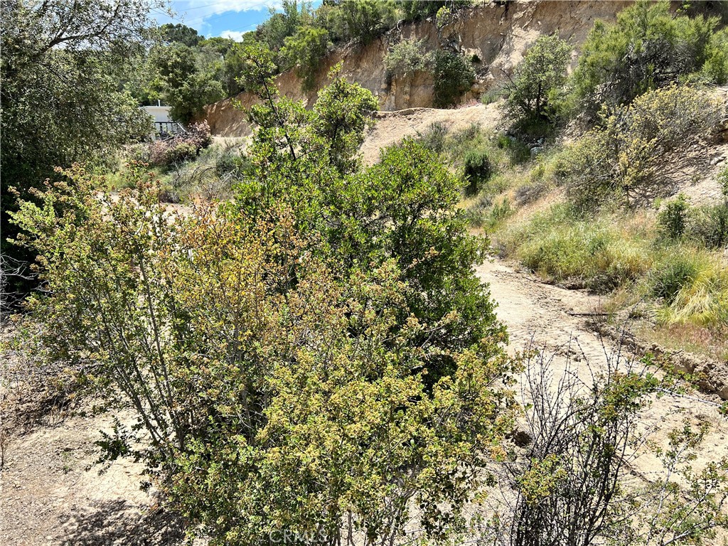 MLS #IG25110904 image #5