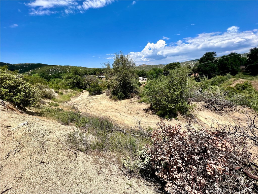 MLS #IG25110904 image #7