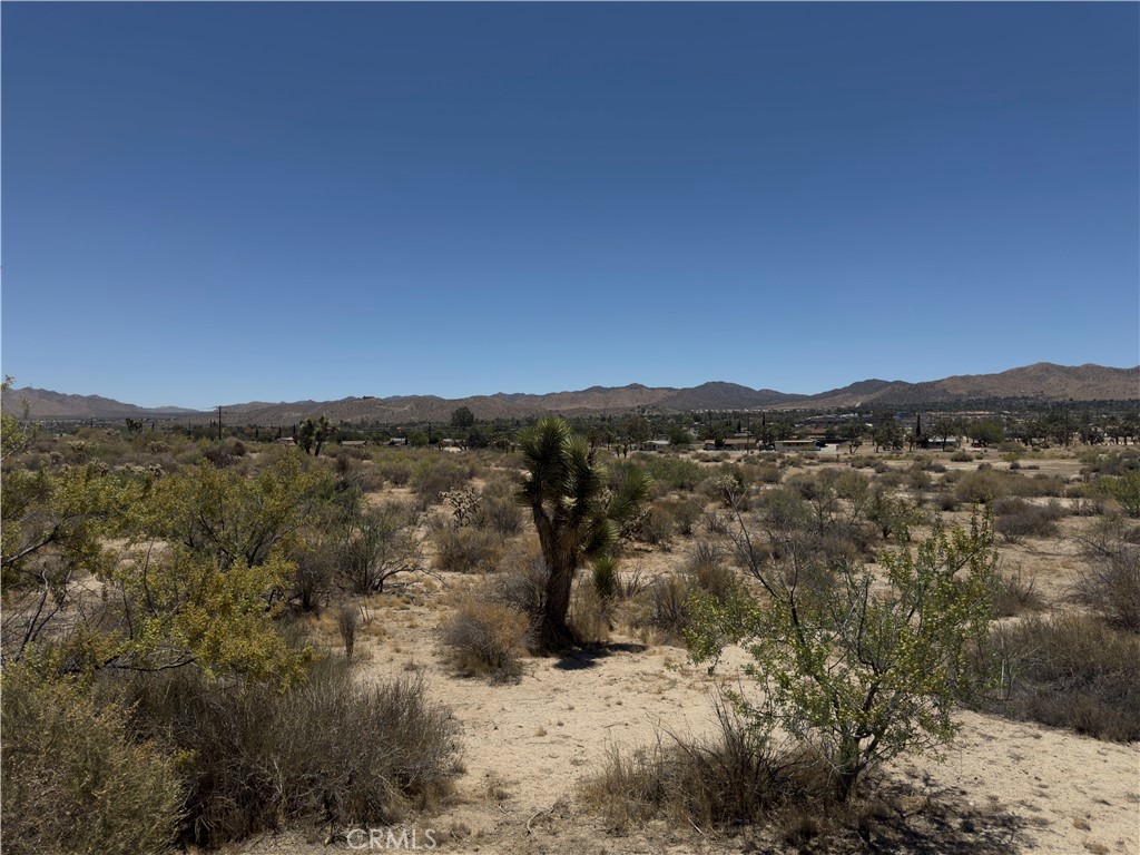 MLS #IG25128300 image #10