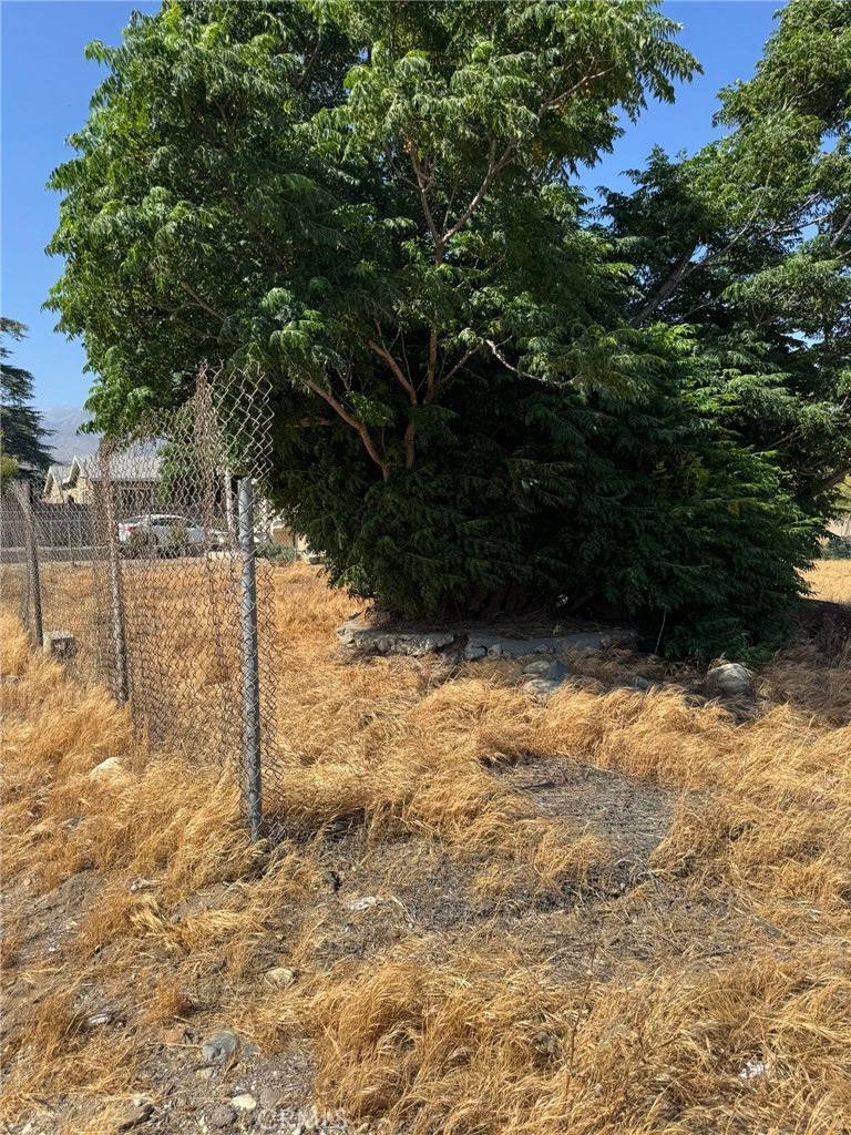 MLS #IG25134787 image #3