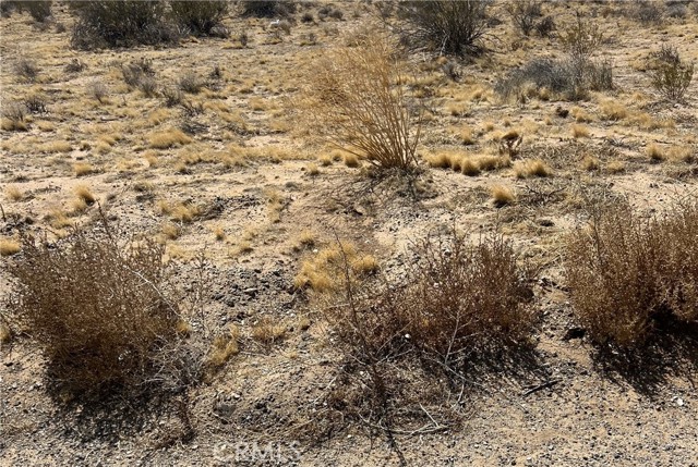 MLS #IG25140901 image #0