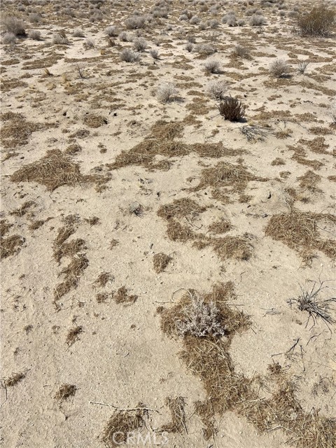 MLS #IG25140901 image #1