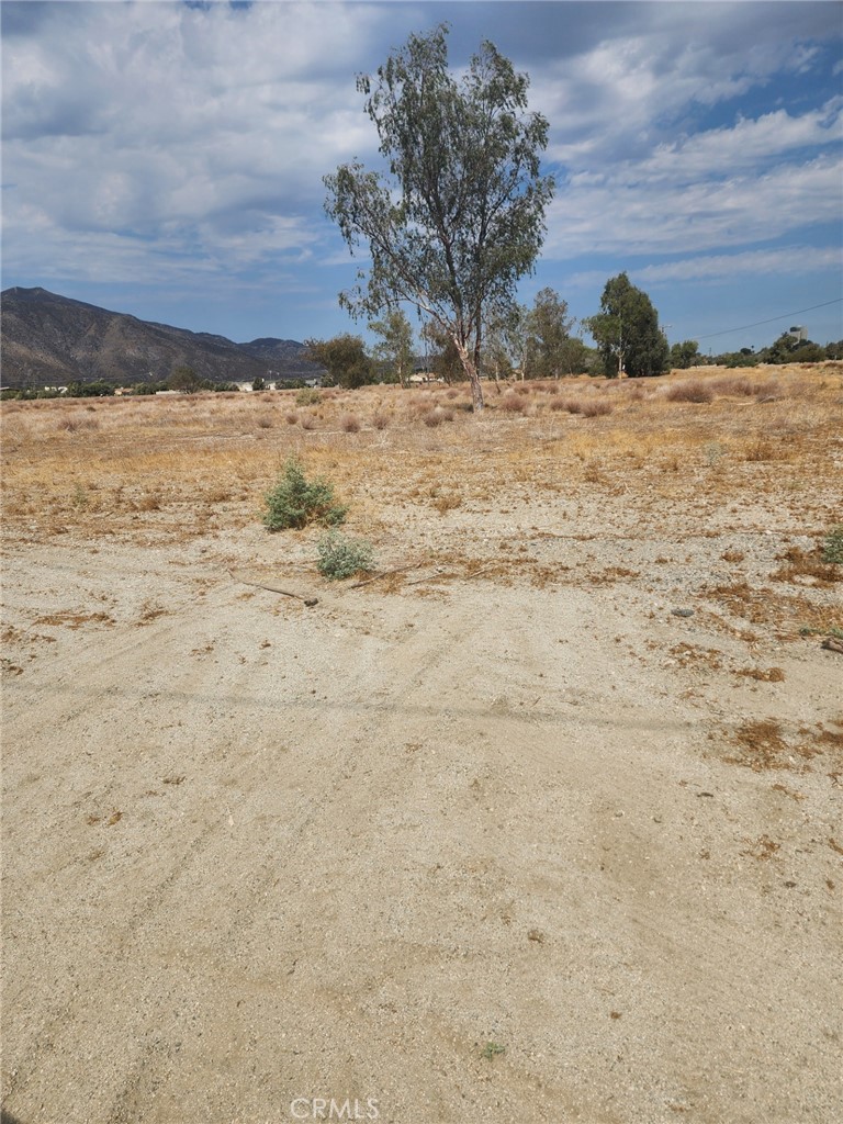 MLS #IG25161518 image #2