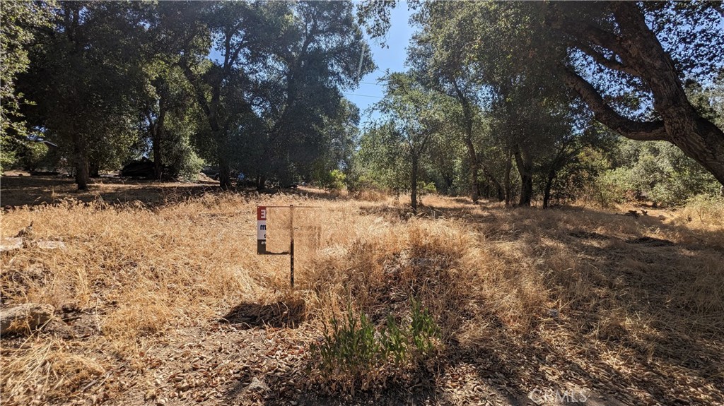 MLS #IG25169788 image #0