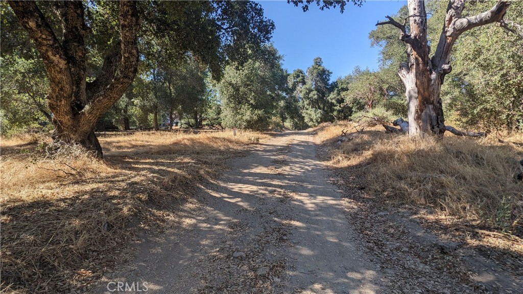 MLS #IG25169788 image #1