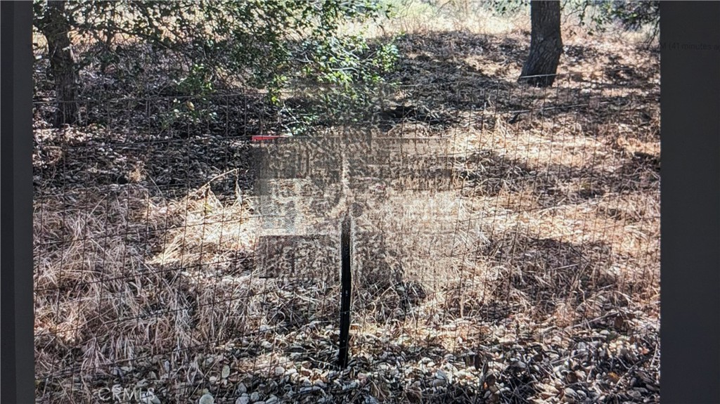 MLS #IG25170993 image #0