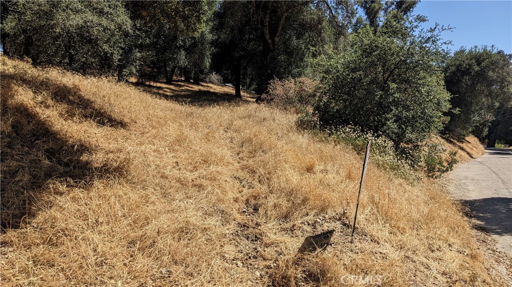 MLS #IG25171068 image #3