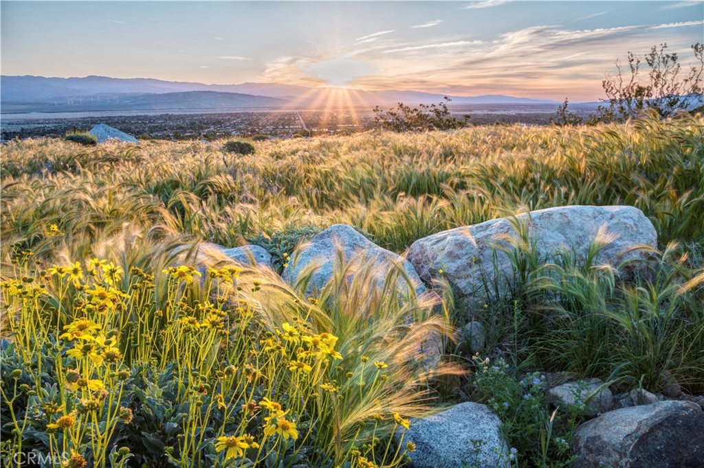 MLS #IG25177250 image #15