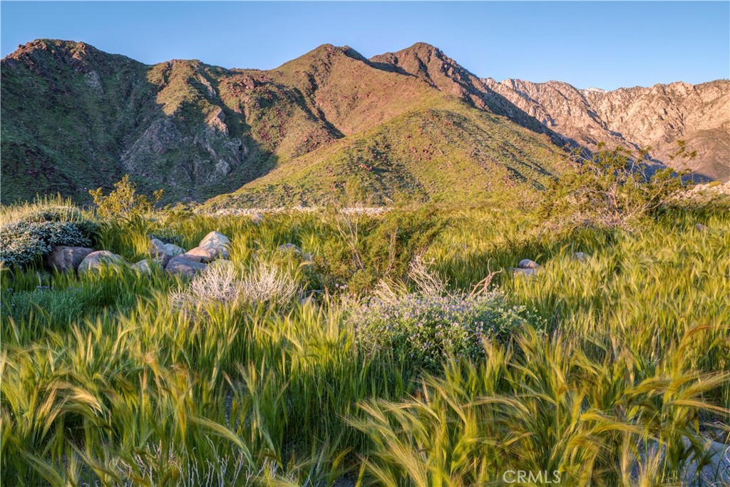 MLS #IG25177250 image #16