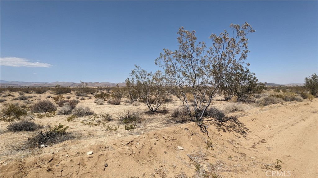 MLS #IG25183415 image #0