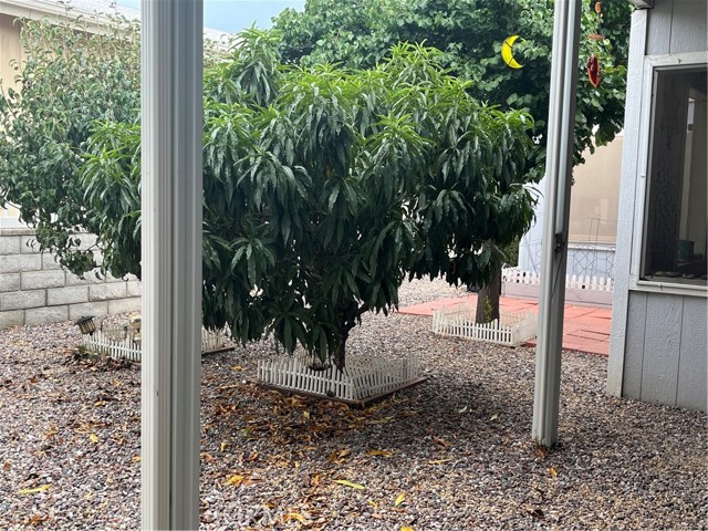 MLS #IG25190719 image #16