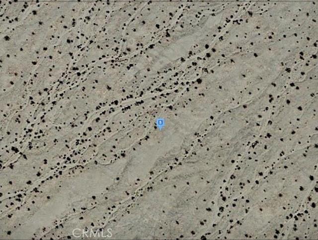 MLS #IG25195959 image #4