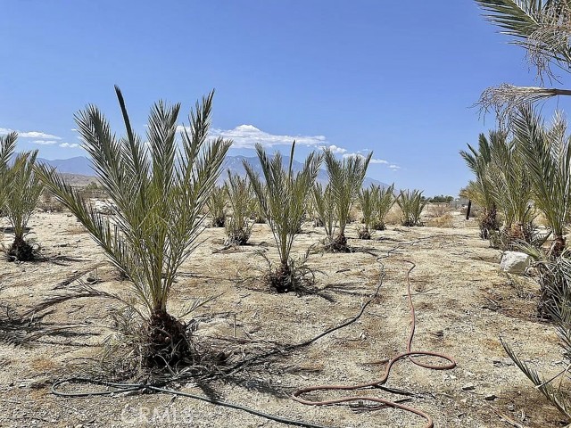 MLS #IG25224329 image #4