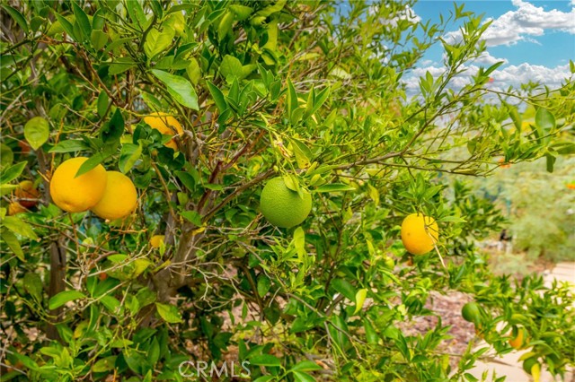 MLS #IG25231368 image #40