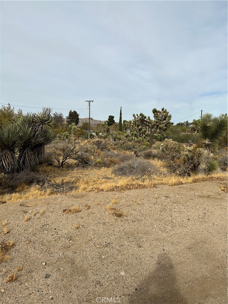 MLS #IG25231697 image #3