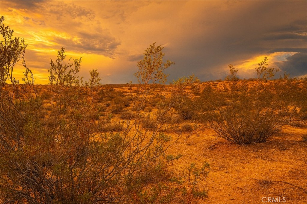 MLS #IG25236046 image #1