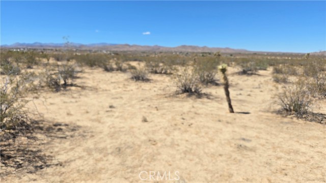 MLS #IG25237251 image #2