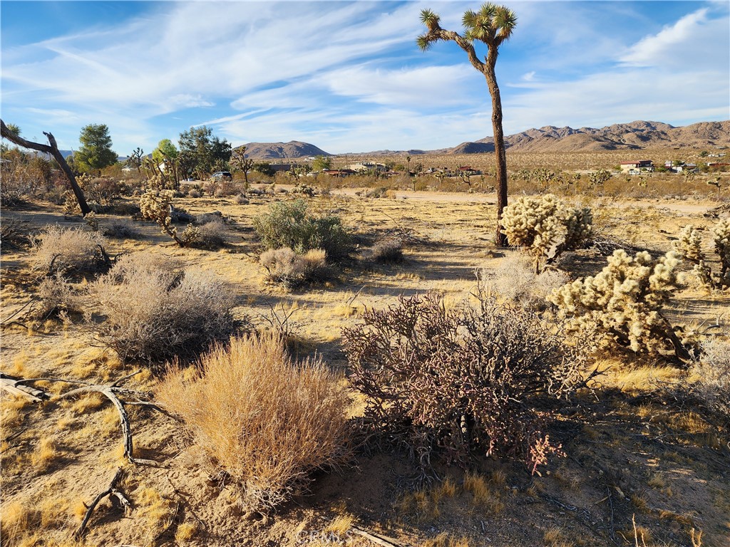 MLS #IG25247496 image #14