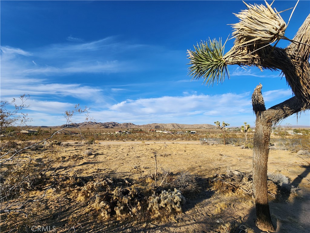 MLS #IG25247496 image #16