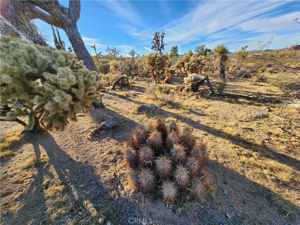 MLS #IG25247496 image #17