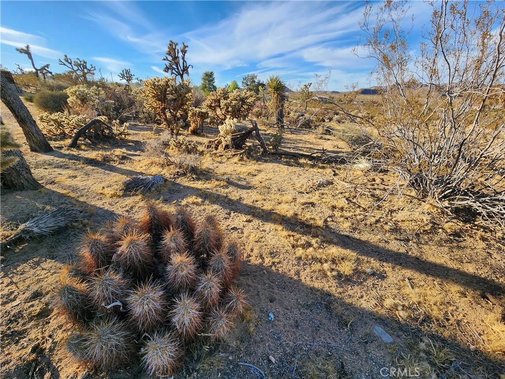 MLS #IG25247496 image #18