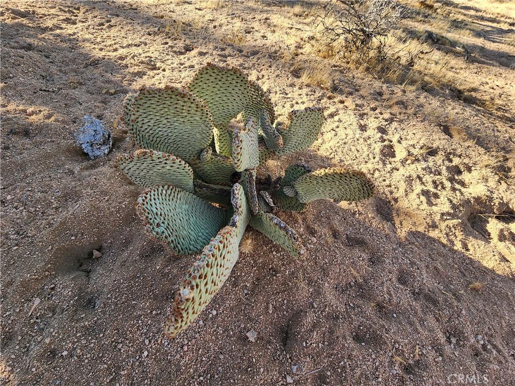 MLS #IG25247496 image #21