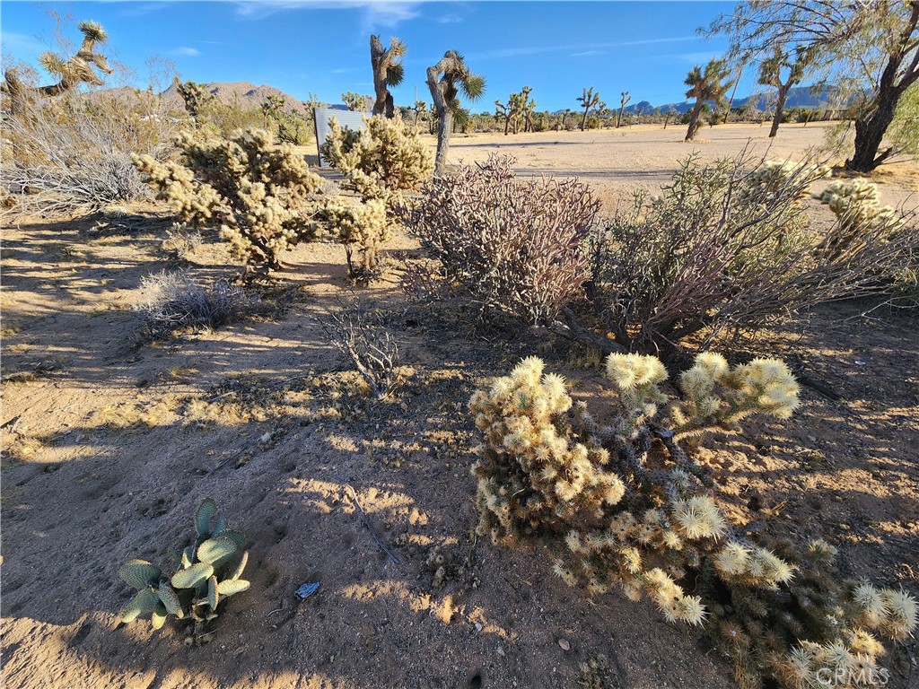 MLS #IG25247496 image #23