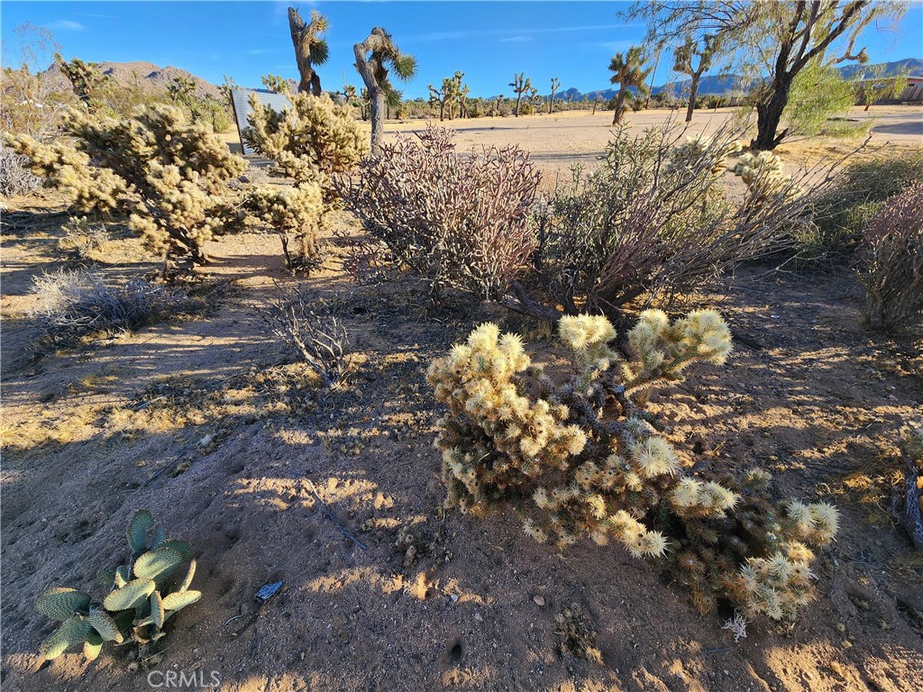 MLS #IG25247496 image #24