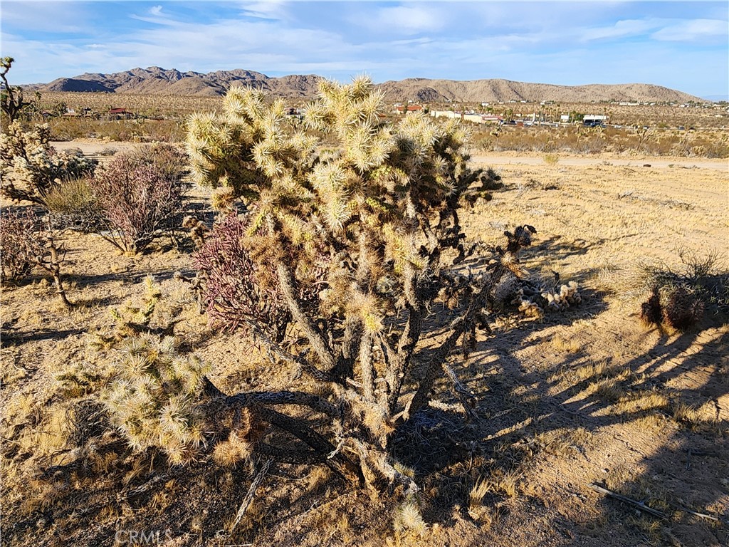 MLS #IG25247496 image #25