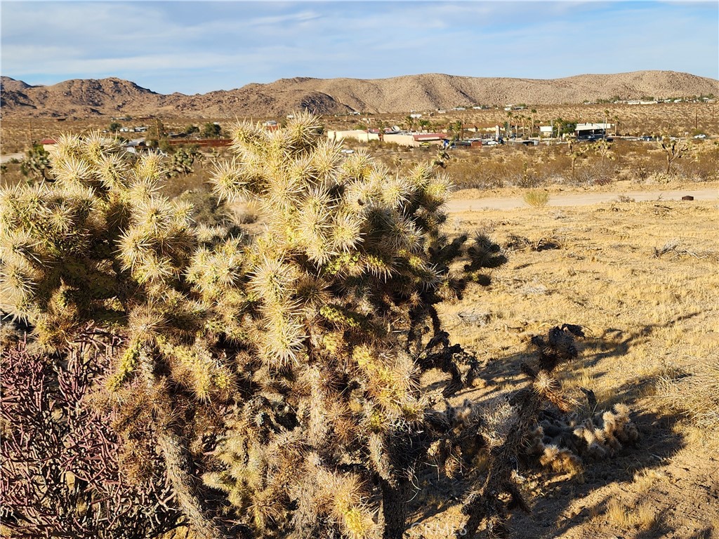 MLS #IG25247496 image #26