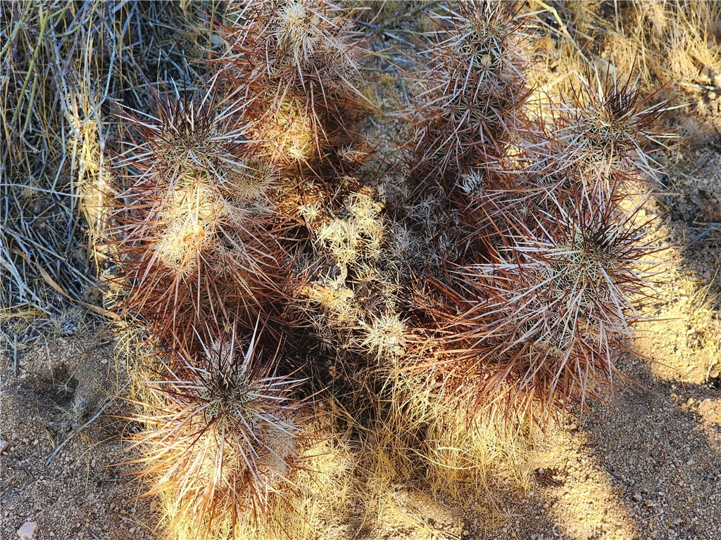 MLS #IG25247496 image #30