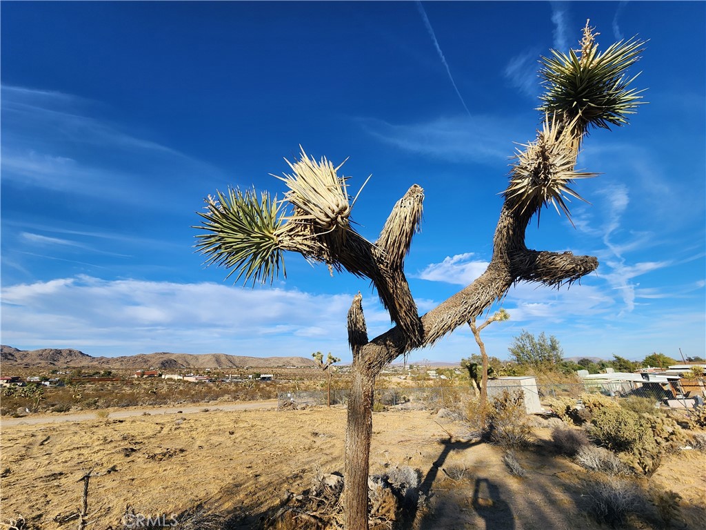 MLS #IG25247496 image #4