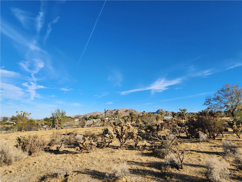 MLS #IG25247496 image #42