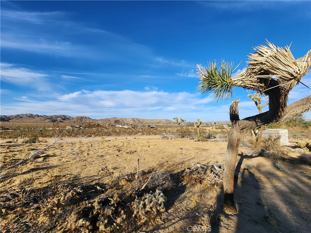 MLS #IG25247496 image #5