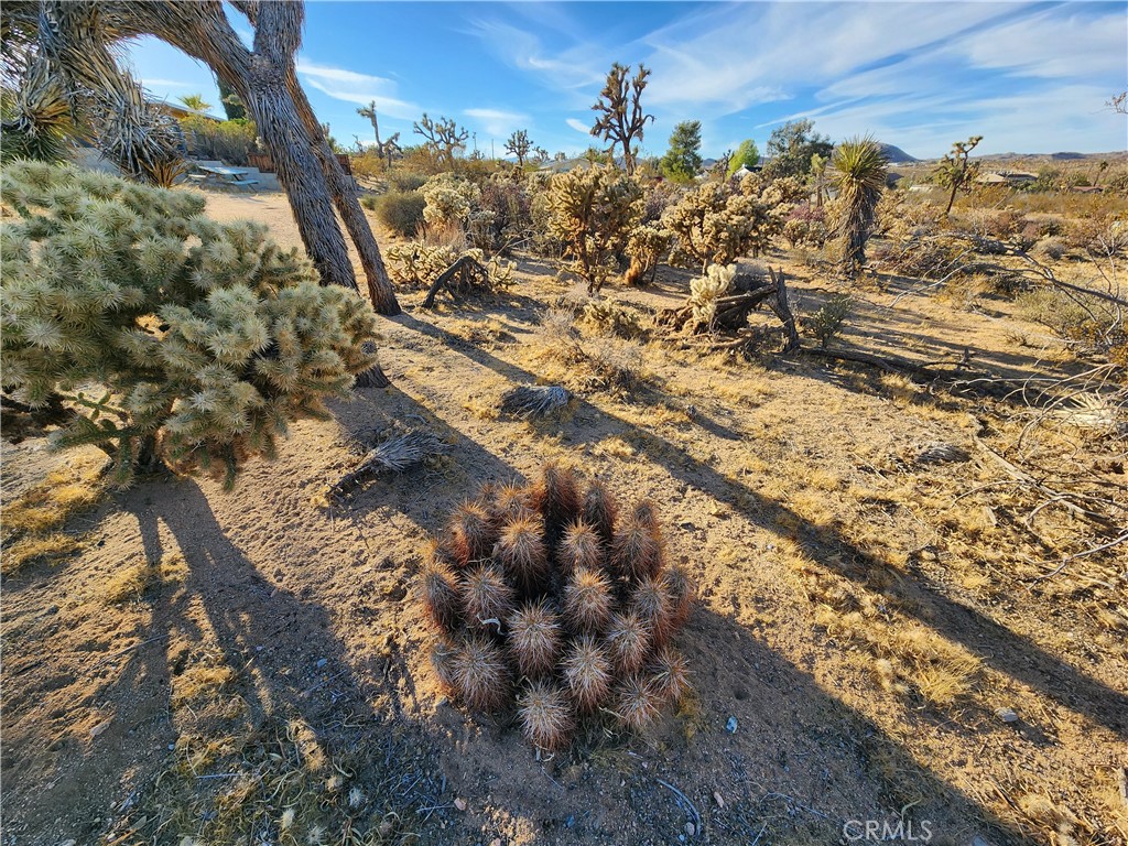 MLS #IG25247496 image #6