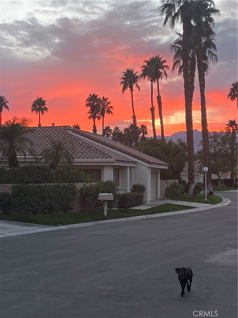 MLS #IN23230080 image #9