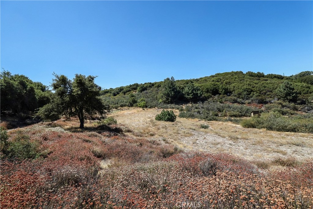 MLS #IV22001970 image #10