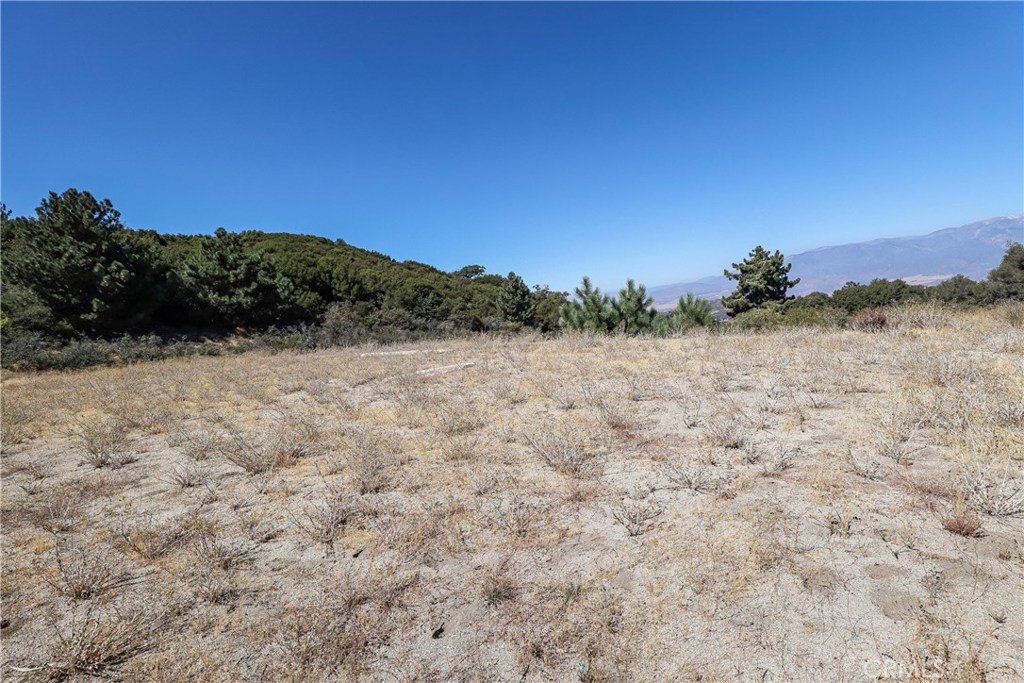 MLS #IV22001970 image #14