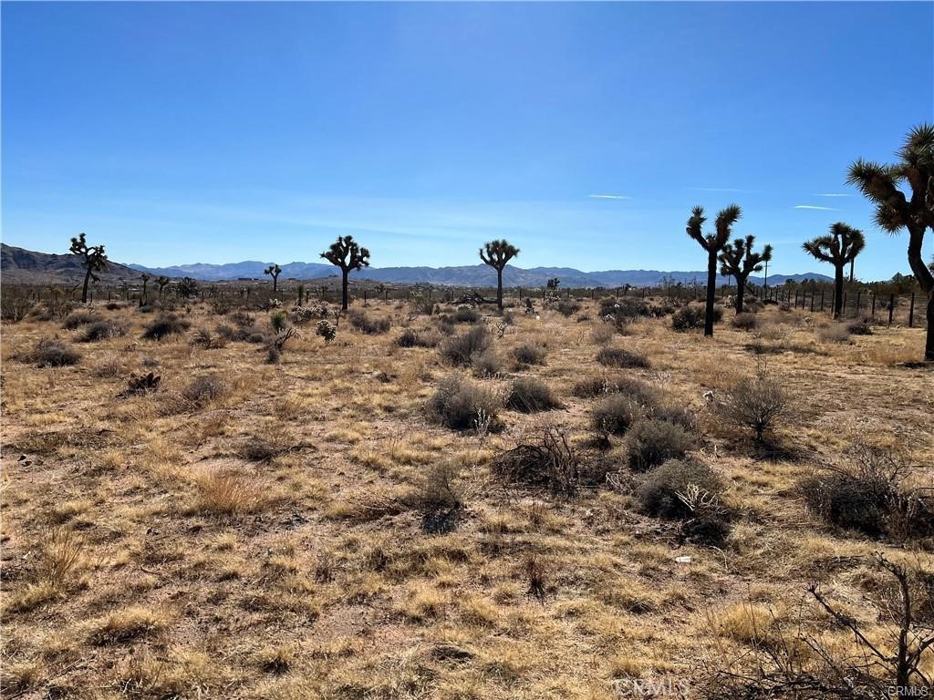 MLS #IV24248088 image #10