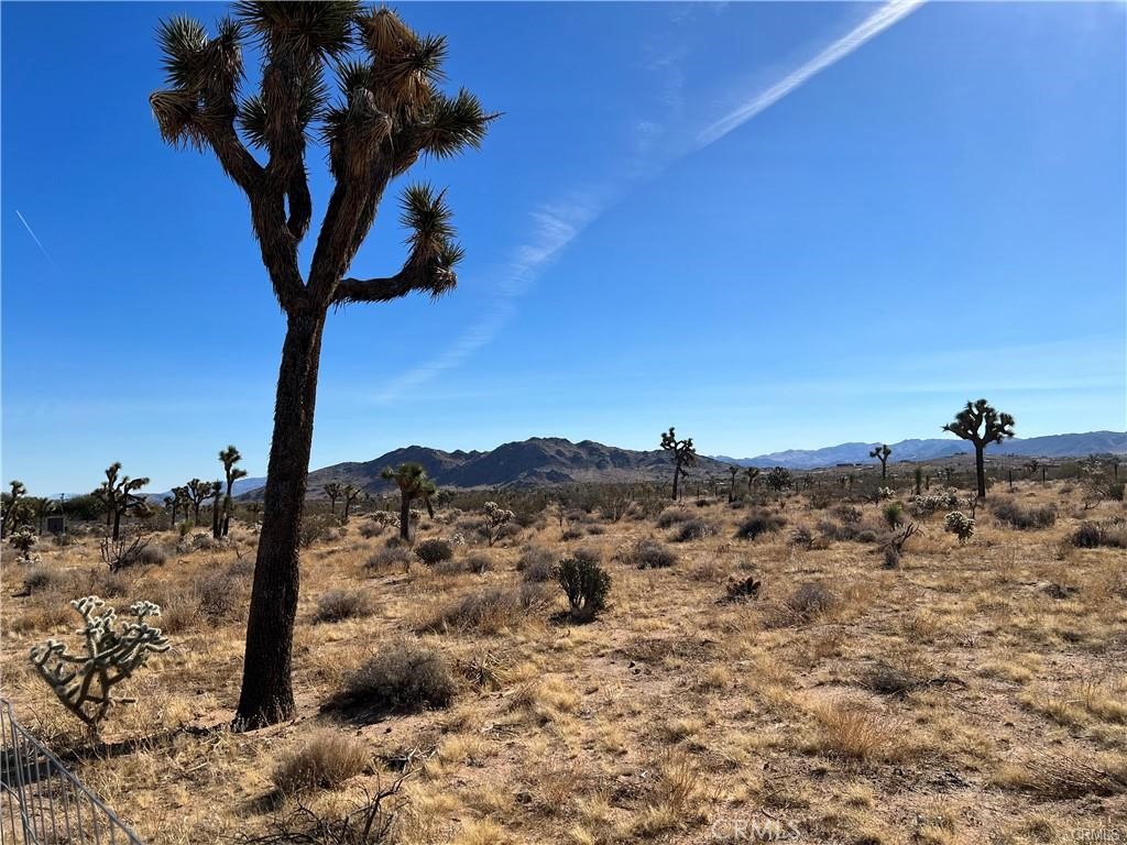 MLS #IV24248088 image #11