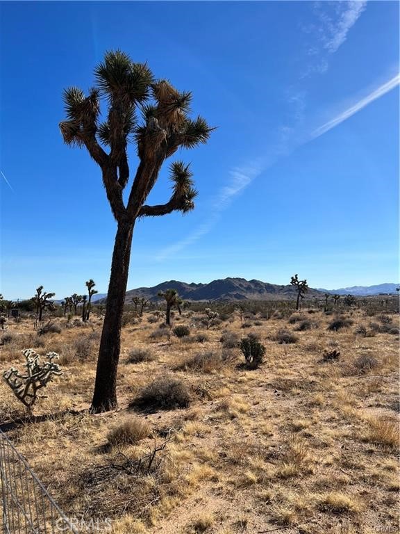 MLS #IV24248088 image #13