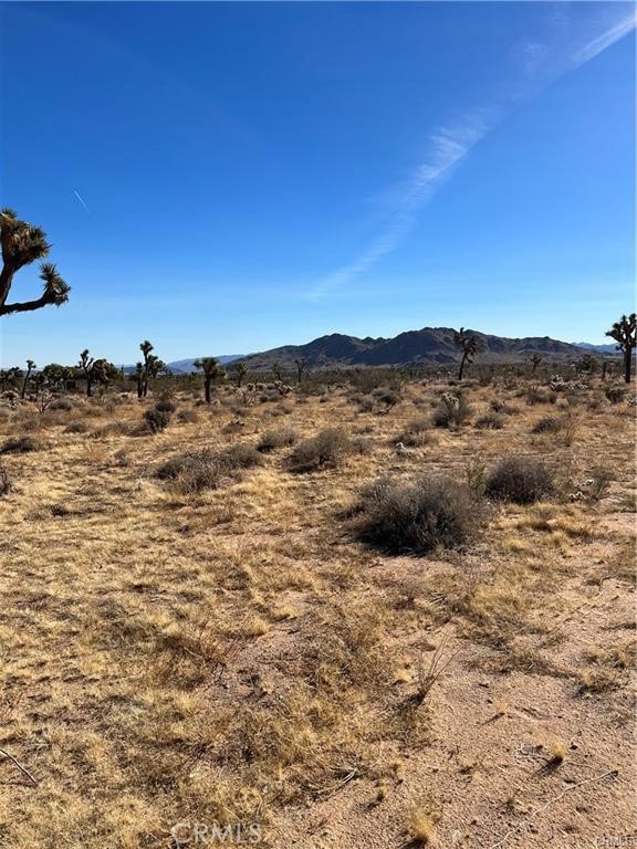 MLS #IV24248088 image #14