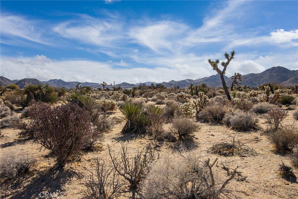 MLS #IV25023327 image #12