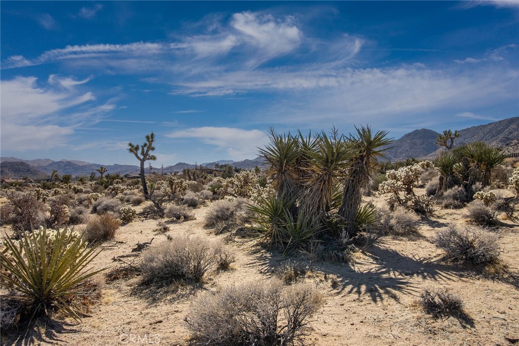 MLS #IV25023327 image #14