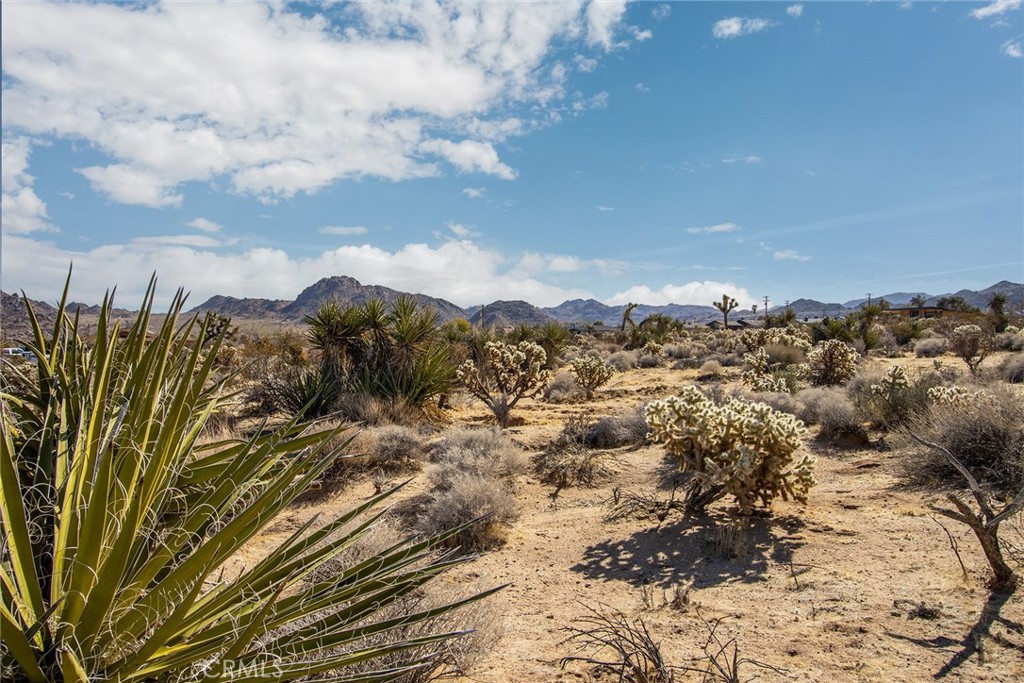 MLS #IV25023327 image #16